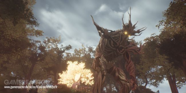 Legends of Awen: Rise of the Fianna