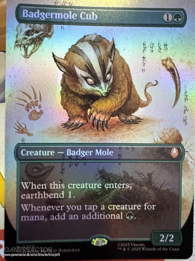 Magic: The Gathering