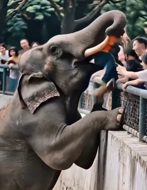 厭倦了社交媒體上的人工智能假貨